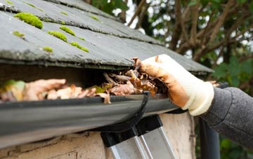 gutter cleaning Lower Howsell, Worcestershire